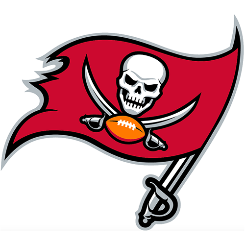 Tampa Bay Buccaneers iron ons